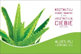 ksztaltuj-dobre-nawyki-magnes