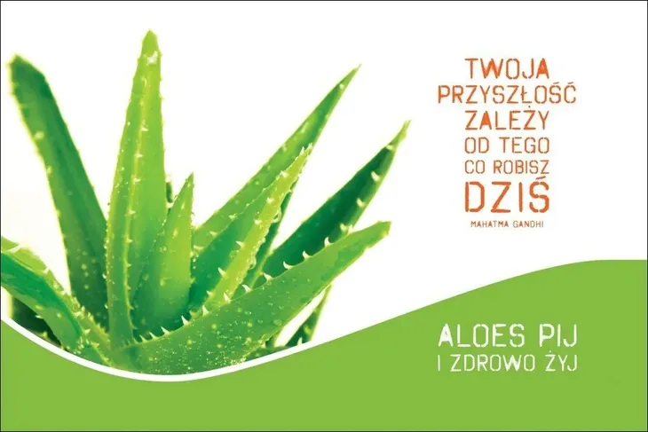 twoja-przyszlosc-magnes