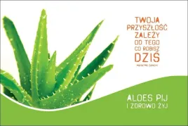 twoja-przyszlosc-magnes