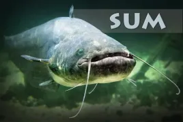 sum-ii-magnes