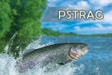 pstrag-woda-magnes