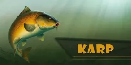 karp-gold-magnes