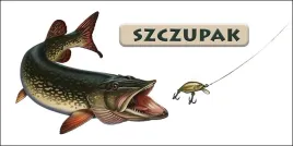 szczupak-atak-magnes