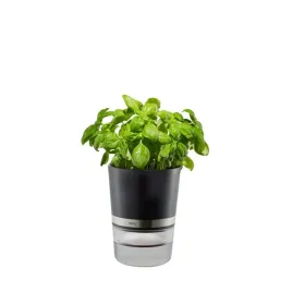 gefu-botanico-doniczka-na-ziola