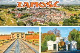 zamosc-magnes