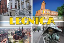 legnica-magnes