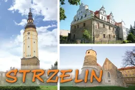 strzelin-magnes
