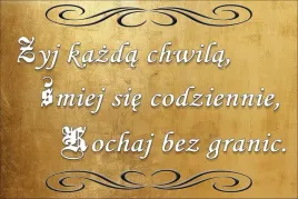 zyj-kazda-chwila-zloty-magnes