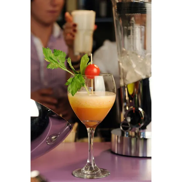 vela-blender-chromowany-material-wykonania-kielicha-tworzywo-sztuczne