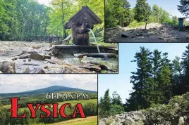 lysica-magnes