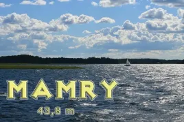 mamry-magnes