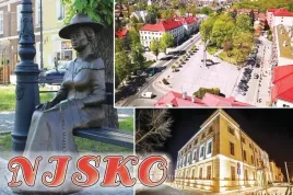 nisko-magnes