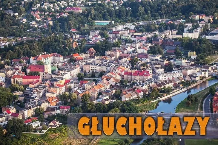 glucholazy-ii-magnes