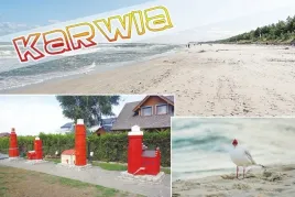 karwia-magnes