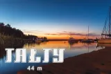 talty-magnes