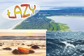 lazy-magnes