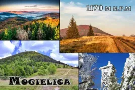 mogielica-magnes