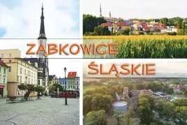 zabkowice-slaskie-magnes