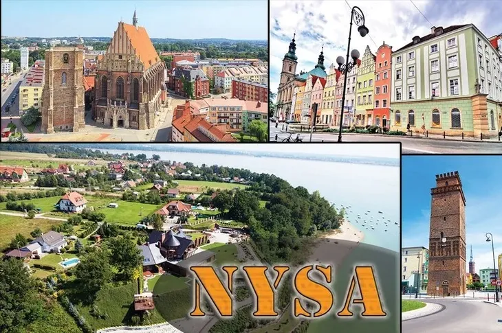 nysa-magnes