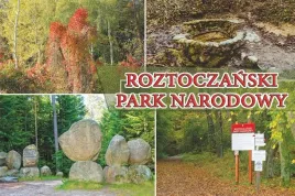 roztoczanski-park-narodowy-magnes