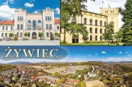 zywiec-iii-magnes