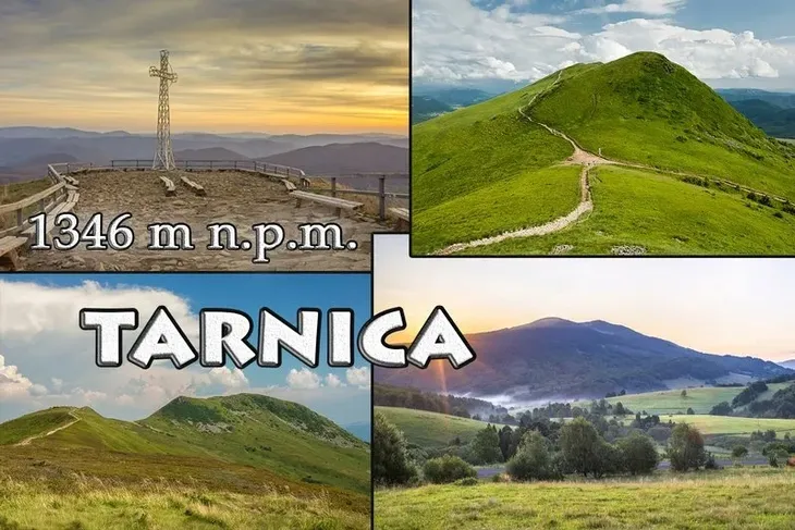 tarnica-magnes