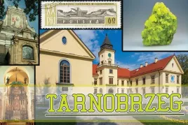 tarnobrzeg-magnes