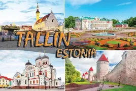 tallin-estonia-pomaranczowy-magnes