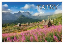 tatry-fiolet-magnes-szklany