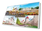 tallin-magnes-szklany