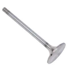 zawor-ssacy-international-dt466e-dt530e