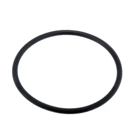 bosch-f00n202130-pierscien-uszczelniajacy