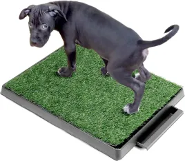 kuweta-mata-treningowa-sztuczna-trawa-dla-psa-szczeniaka-nauka-korzystania