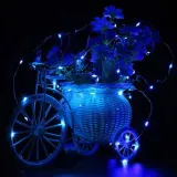 lampki-dekoracyjne-100-led-niebieski-kod-produktu-cl0020-1