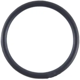 o-ring-pednika-sea-doo-293300107