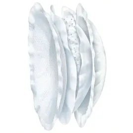 chicco-00061779000000-wkladki-laktacyjne-30-szt