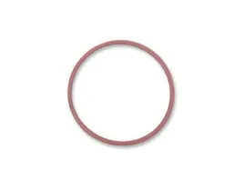 o-ring-pokrywy-filtra-420230920
