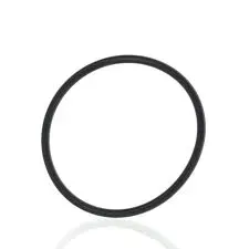 o-ring-pokrywy-wirnika-293300011