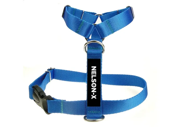 szelki-dla-psa-guard-nelson-x-basic-roz-s-rozmiar-s