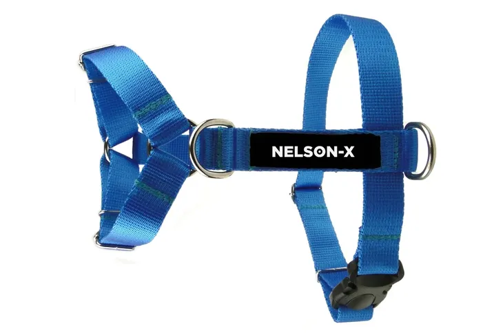 szelki-dla-psa-guard-nelson-x-basic-roz-s-stan-nowy-wielkosc-psa-maly-pies