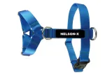 szelki-dla-psa-guard-nelson-x-basic-roz-s-stan-nowy-wielkosc-psa-maly-pies