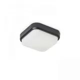 plafon-taris-17-r12525-redlux