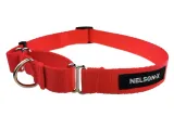 obroza-martingale-dla-psa-nelson-x-basic-r-m