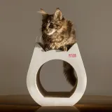 drapak-dla-kota-small-cat-white