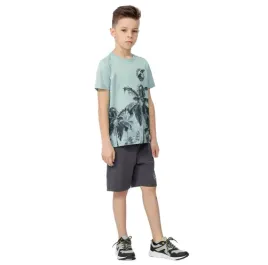koszulka-t-shirt-chlopiecy-4f-hjl22-jtsm013-niebieska