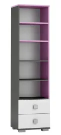 pink-y29-regal-mlodziezowy-50x40-w-190