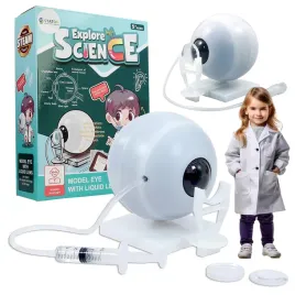 galka-oczna-model-anatomiczny-zestaw-edukacyjny-budowa-i-dzialanie-wzroku