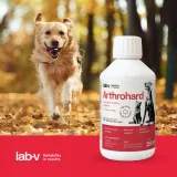 lab-v-arthrohard-250ml-preparat-na-wsparcie-stawow-dla-psa-i-kota