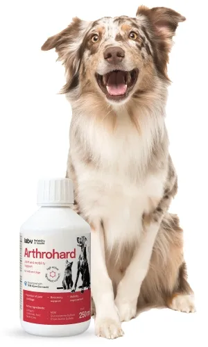 lab-v-arthrohard-250ml-preparat-na-wsparcie-stawow-dla-psa-i-kota