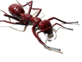 figurki-owady-dla-dzieci-duze-owady-mrowka